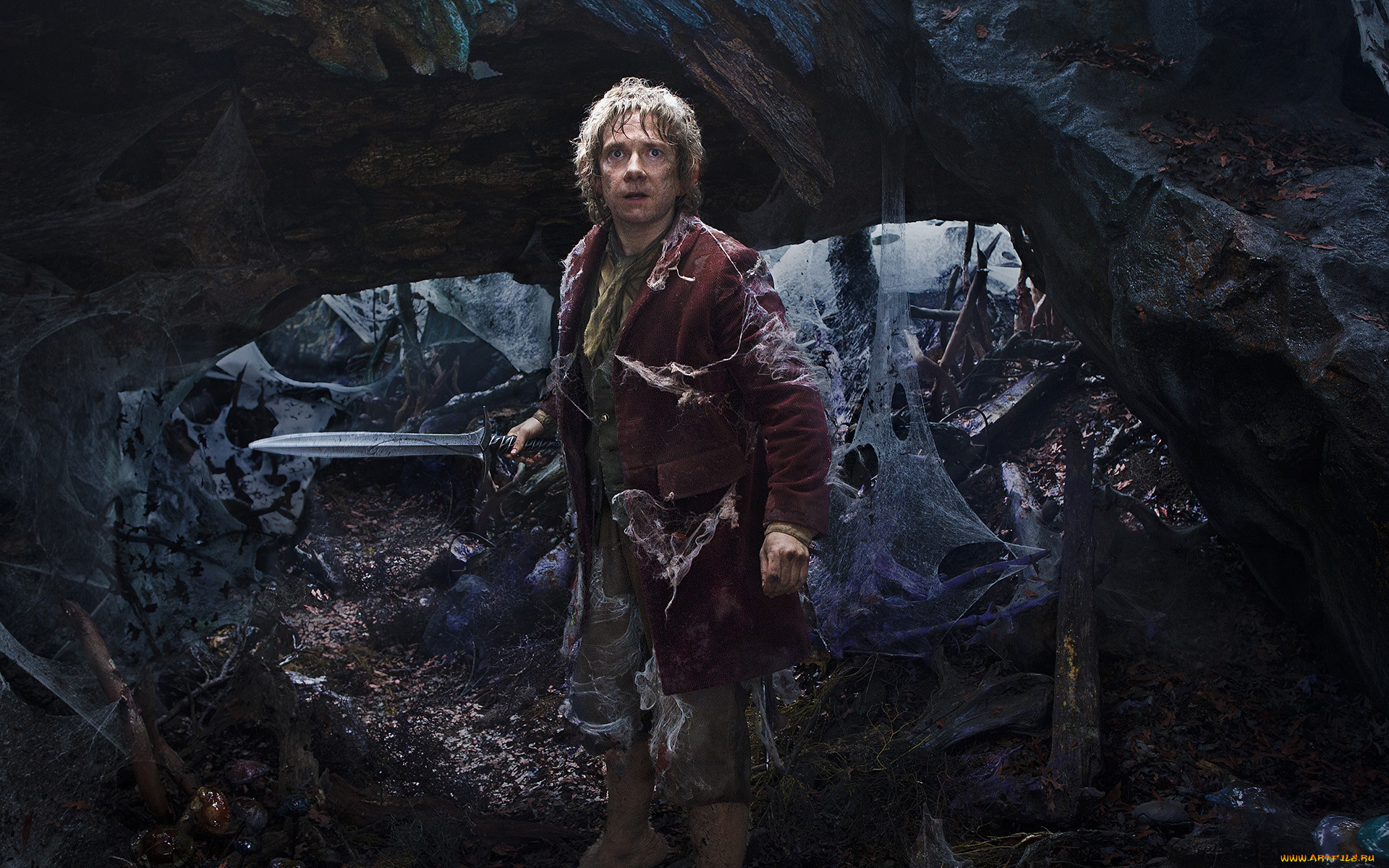 , , the, hobbit, an, unexpected, journey, 